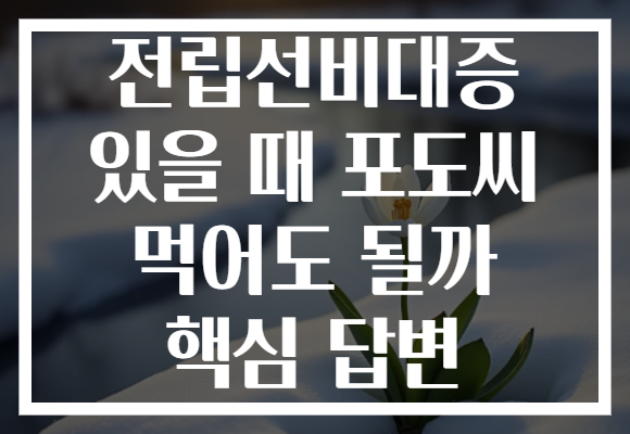 전립선비대증 있을 때 포도씨 먹어도 될까 핵심 답변