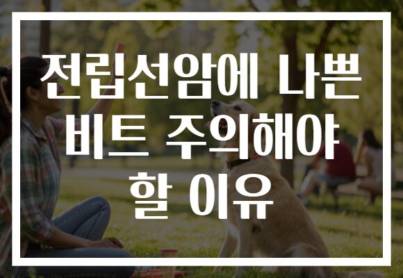 전립선암에 나쁜 비트 주의해야 할 이유