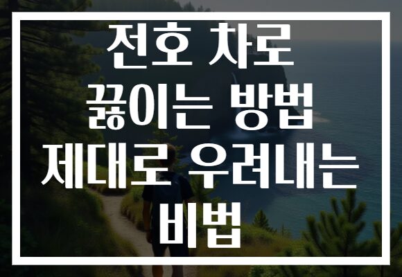 전호 차로 끓이는 방법 제대로 우려내는 비법