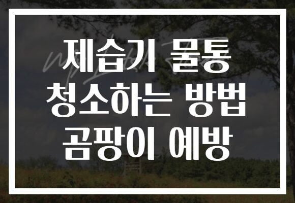 제습기 물통 청소하는 방법 곰팡이 예방