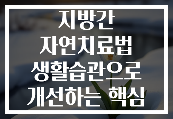 지방간 자연치료법 생활습관으로 개선하는 핵심