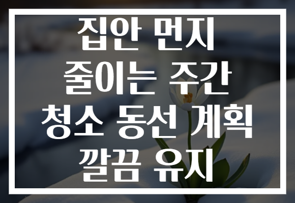 집안 먼지 줄이는 주간 청소 동선 계획 깔끔 유지