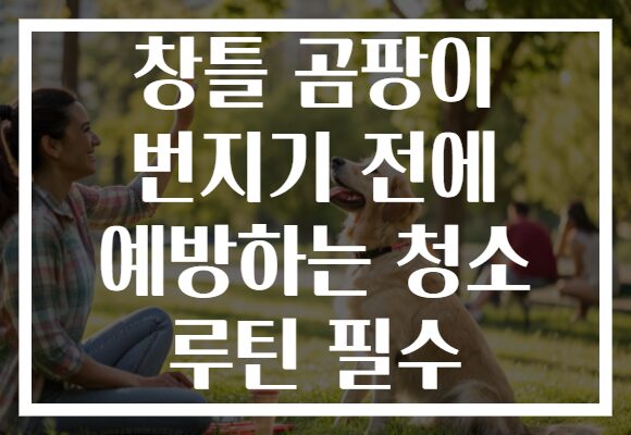 창틀 곰팡이 번지기 전에 예방하는 청소 루틴 필수