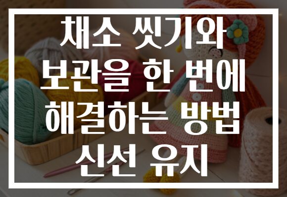 채소 씻기와 보관을 한 번에 해결하는 방법 신선 유지