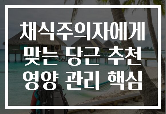 채식주의자에게 맞는 당근 추천 영양 관리 핵심