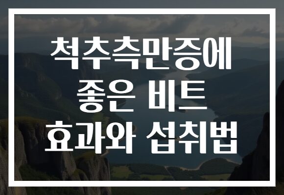 척추측만증에 좋은 비트 효과와 섭취법