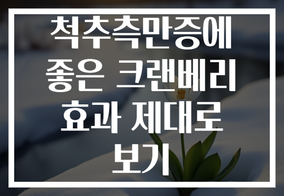 척추측만증에 좋은 크랜베리 효과 제대로 보기
