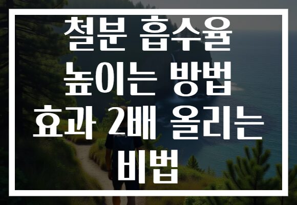 철분 흡수율 높이는 방법 효과 2배 올리는 비법