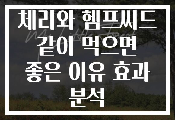 체리와 헴프씨드 같이 먹으면 좋은 이유 효과 분석