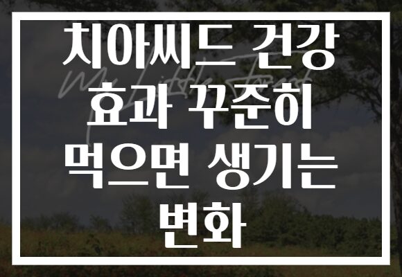 치아씨드 건강 효과 꾸준히 먹으면 생기는 변화