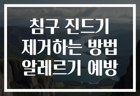 침구 진드기 제거하는 방법 알레르기 예방