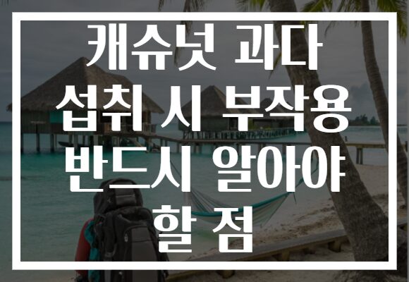 캐슈넛 과다 섭취 시 부작용 반드시 알아야 할 점