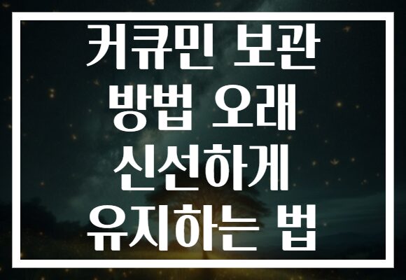커큐민 보관 방법 오래 신선하게 유지하는 법