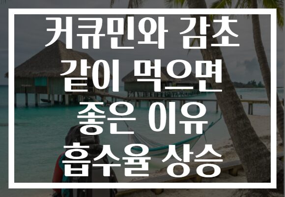 커큐민와 감초 같이 먹으면 좋은 이유 흡수율 상승
