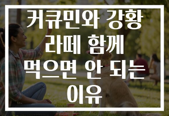 커큐민와 강황 라떼 함께 먹으면 안 되는 이유