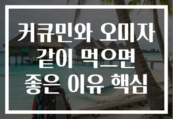커큐민와 오미자 같이 먹으면 좋은 이유 핵심