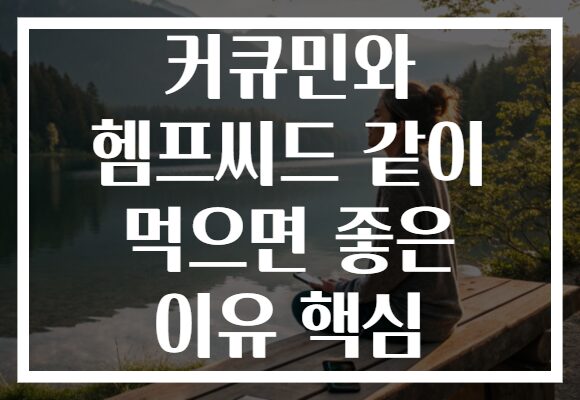 커큐민와 헴프씨드 같이 먹으면 좋은 이유 핵심