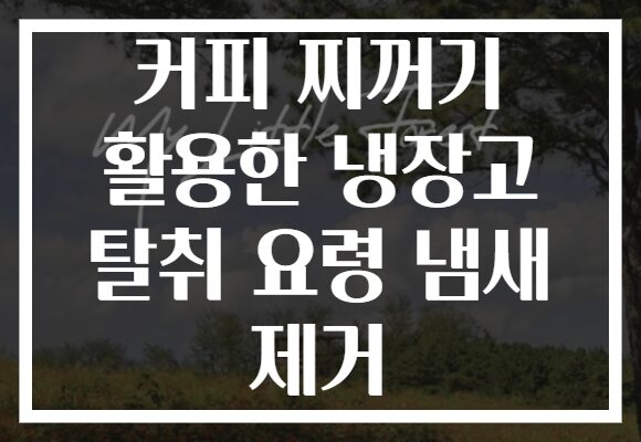 커피 찌꺼기 활용한 냉장고 탈취 요령 냄새 제거