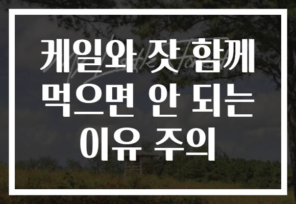 케일와 잣 함께 먹으면 안 되는 이유 주의