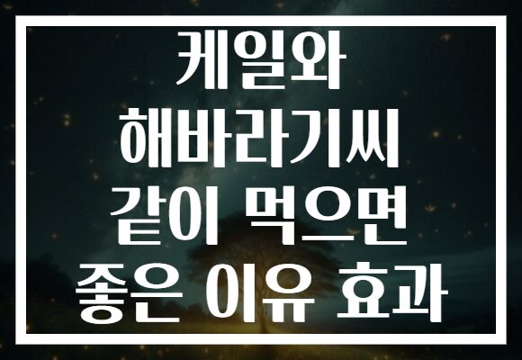 케일와 해바라기씨 같이 먹으면 좋은 이유 효과