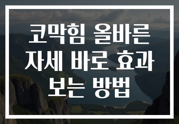 코막힘 올바른 자세 바로 효과 보는 방법