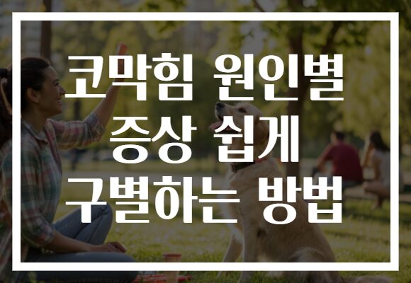 코막힘 원인별 증상 쉽게 구별하는 방법