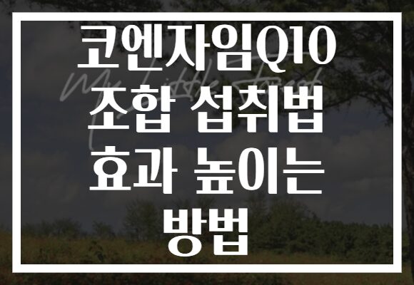 코엔자임Q10 조합 섭취법 효과 높이는 방법