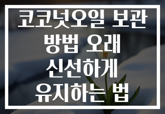코코넛오일 보관 방법 오래 신선하게 유지하는 법
