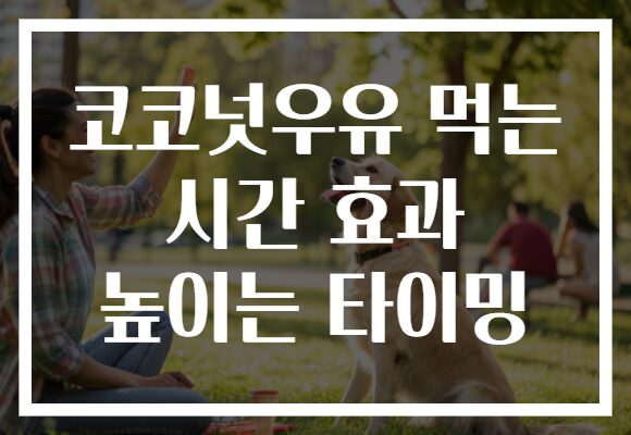 코코넛우유 먹는 시간 효과 높이는 타이밍