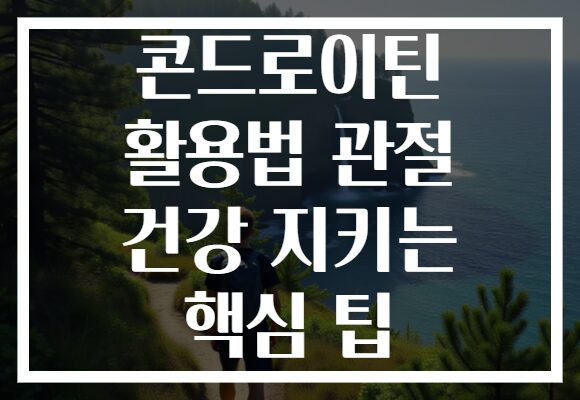 콘드로이틴 활용법 관절 건강 지키는 핵심 팁
