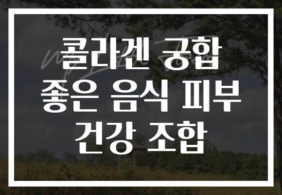 콜라겐 궁합 좋은 음식 피부 건강 조합