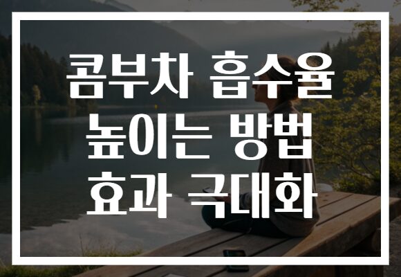 콤부차 흡수율 높이는 방법 효과 극대화