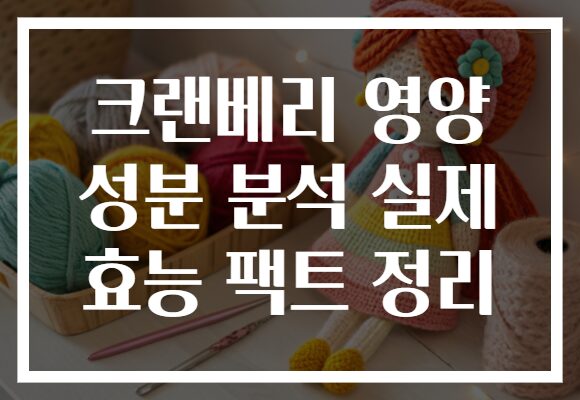 크랜베리 영양 성분 분석 실제 효능 팩트 정리