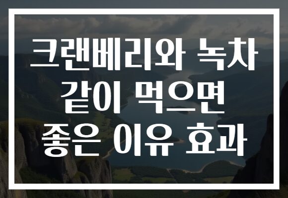크랜베리와 녹차 같이 먹으면 좋은 이유 효과
