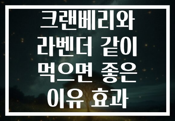 크랜베리와 라벤더 같이 먹으면 좋은 이유 효과