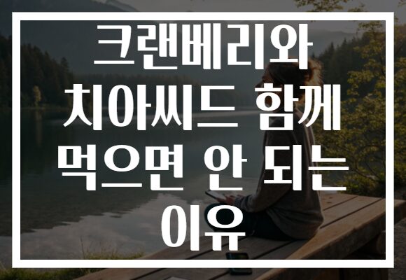 크랜베리와 치아씨드 함께 먹으면 안 되는 이유