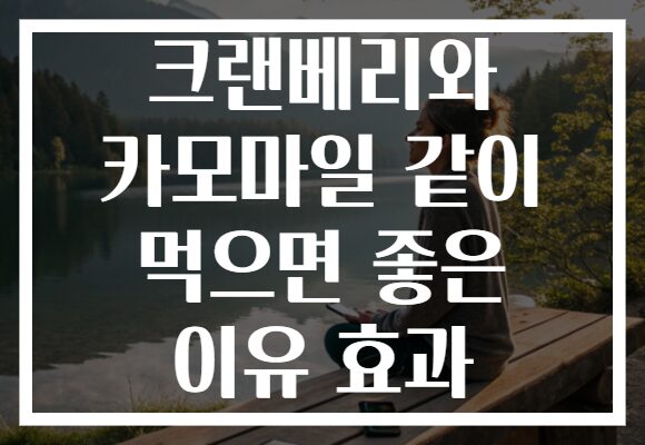 크랜베리와 카모마일 같이 먹으면 좋은 이유 효과