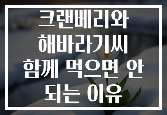 크랜베리와 해바라기씨 함께 먹으면 안 되는 이유