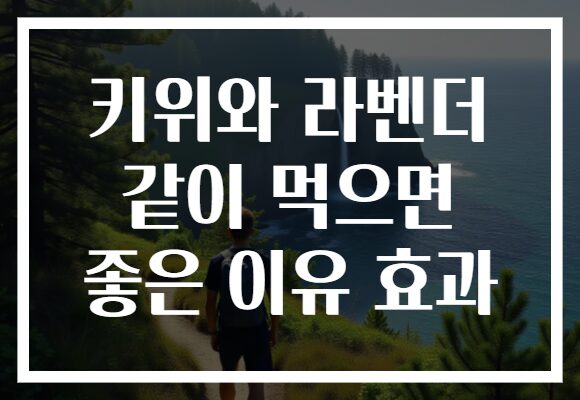 키위와 라벤더 같이 먹으면 좋은 이유 효과