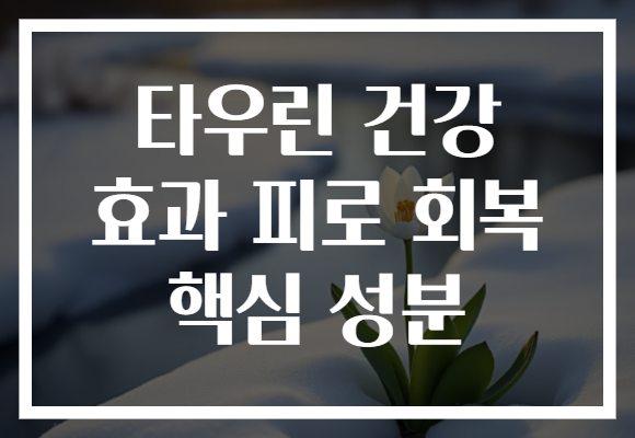 타우린 건강 효과 피로 회복 핵심 성분