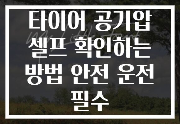 타이어 공기압 셀프 확인하는 방법 안전 운전 필수