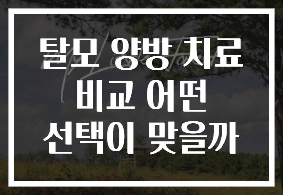 탈모 양방 치료 비교 어떤 선택이 맞을까