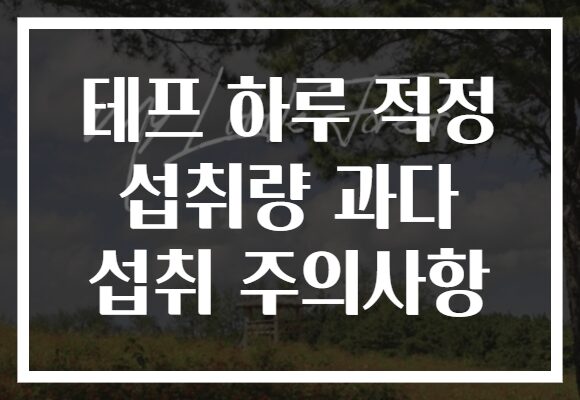 테프 하루 적정 섭취량 과다 섭취 주의사항