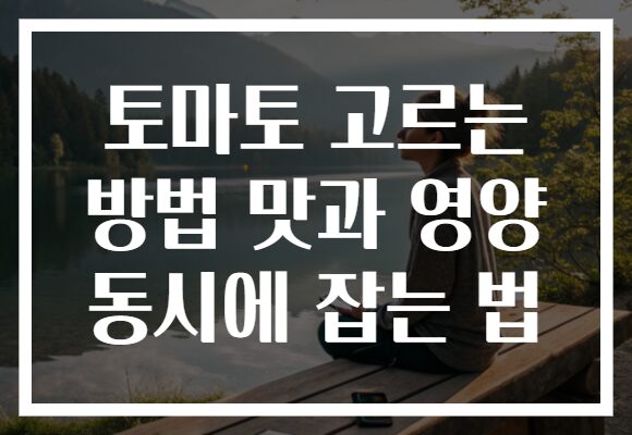 토마토 고르는 방법 맛과 영양 동시에 잡는 법