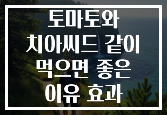 토마토와 치아씨드 같이 먹으면 좋은 이유 효과