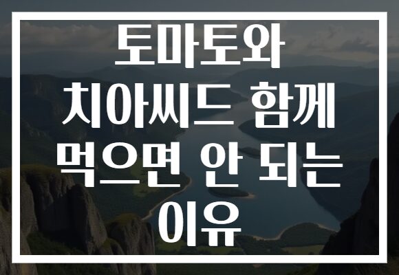 토마토와 치아씨드 함께 먹으면 안 되는 이유