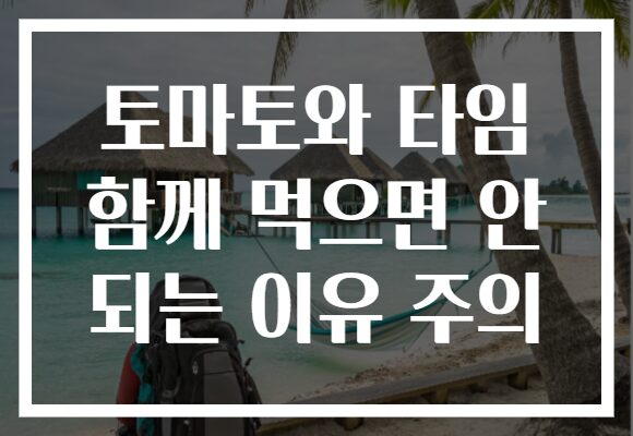 토마토와 타임 함께 먹으면 안 되는 이유 주의