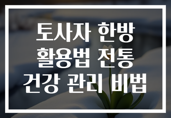 토사자 한방 활용법 전통 건강 관리 비법