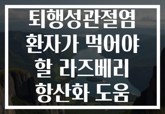 퇴행성관절염 환자가 먹어야 할 라즈베리 항산화 도움