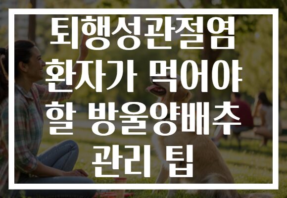 퇴행성관절염 환자가 먹어야 할 방울양배추 관리 팁